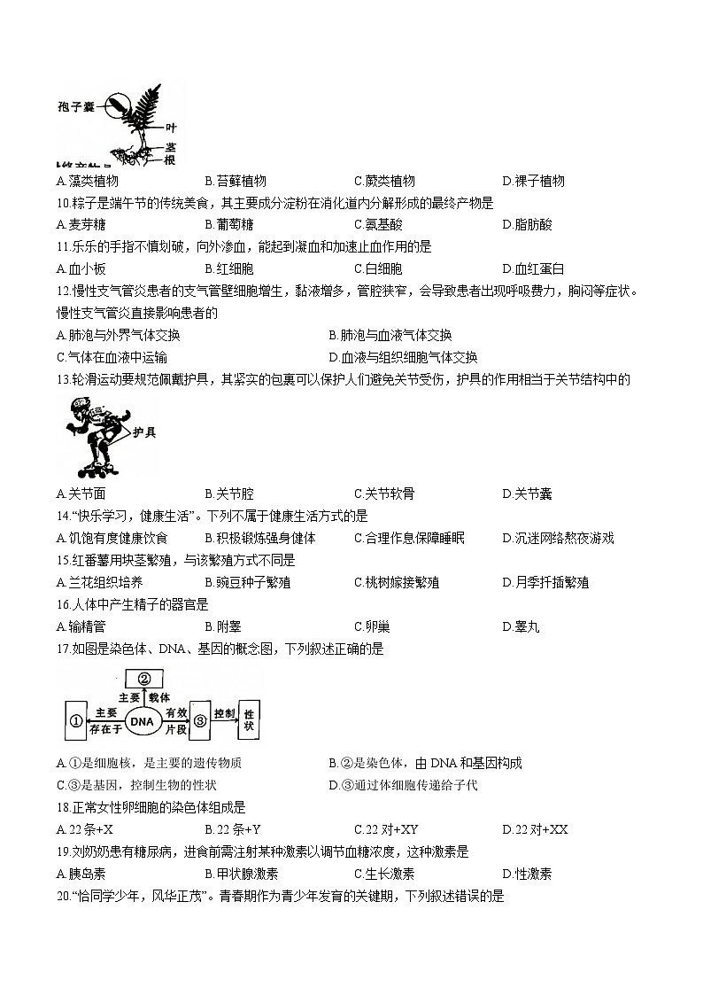 2023年福建省莆田市中考二模生物试题(含答案)02