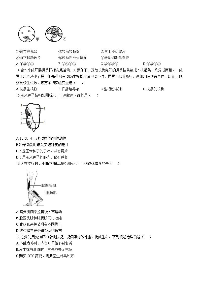 2023年福建省厦门市中考一模生物试题(含答案)第2页