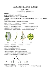 2023年海南省陵⽔县中考一模生物试题(含答案)