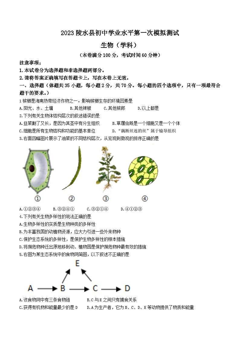 2023年海南省陵⽔县中考一模生物试题(含答案)第1页