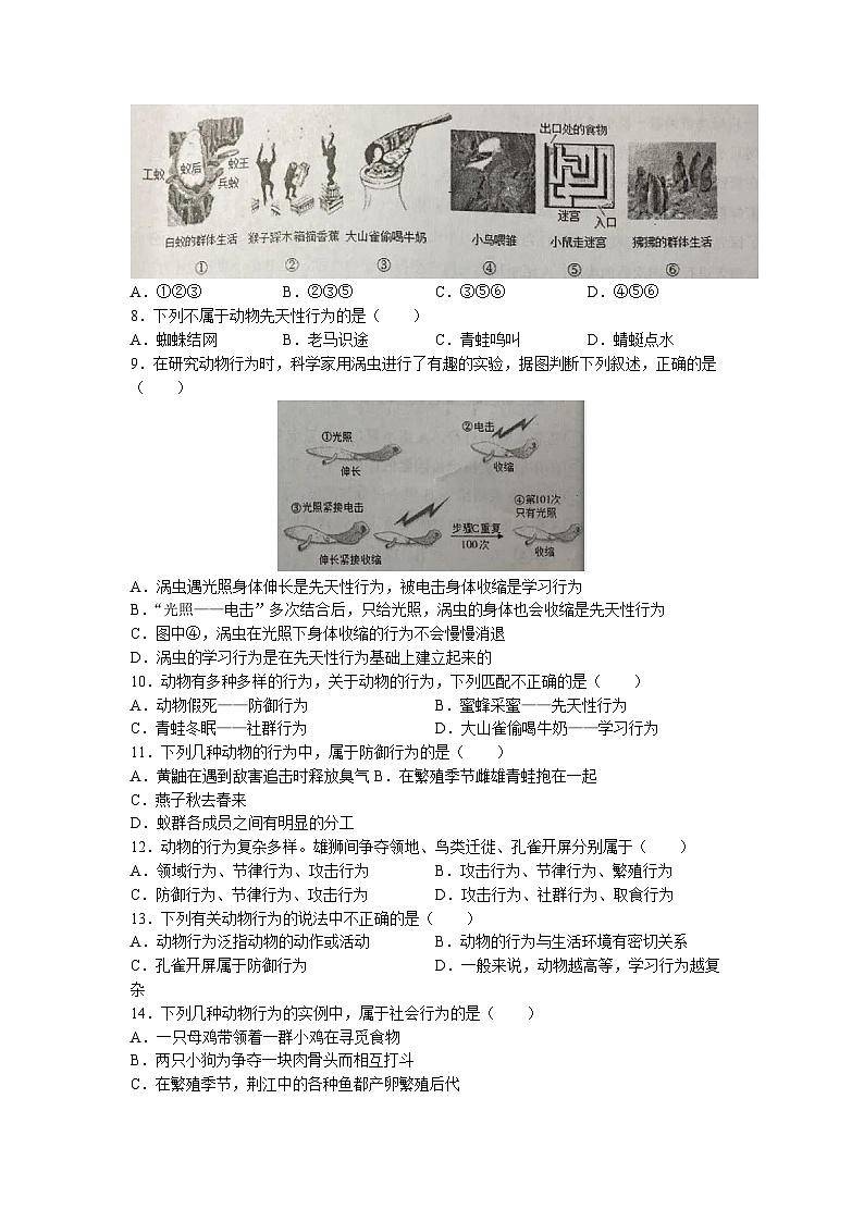 广东省揭阳市揭东区2022-2023学年八年级上学期第15-18章（10月月考）生物试题第2页