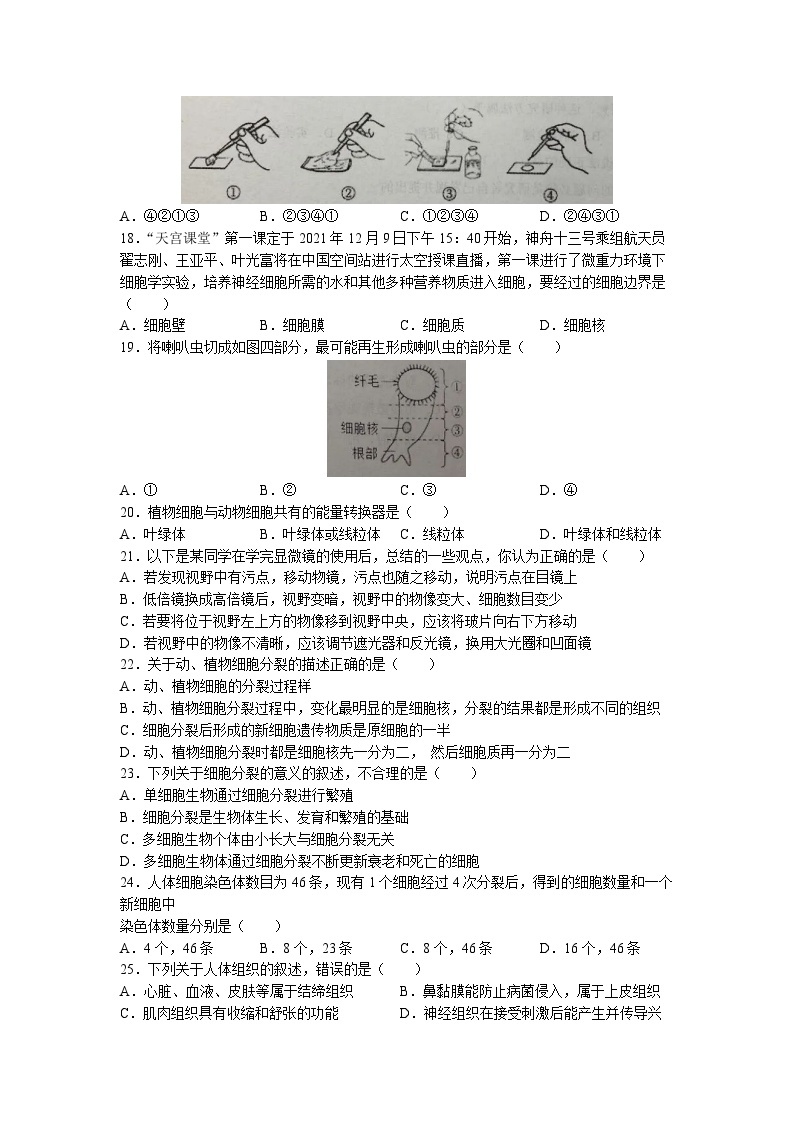 广东省揭阳市揭东区2022-2023学年七年级上学期第1-4章练习题（10月月考）生物试题03