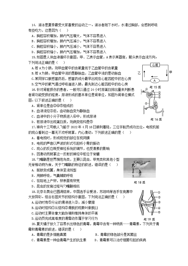 2023年广东省佛山市南海区大沥镇初级中学二模生物试题(含答案)03