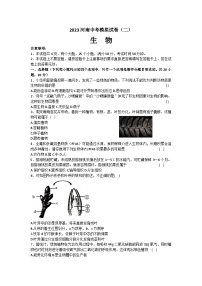 2023年河南省南阳市南召县二模生物试题(含答案)