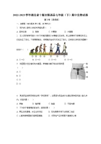 2022-2023学年湖北省十堰市郧西县七年级（下）期中生物试卷（含解析)