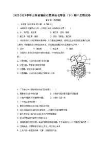 2022-2023学年山东省德州市夏津县七年级（下）期中生物试卷（含解析)