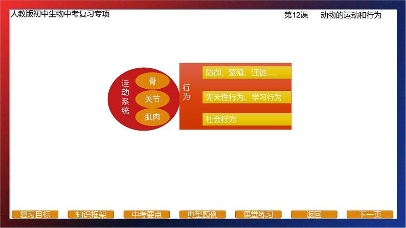 专题12生物圈中的其他生物（动物的行为）课件PPT第3页