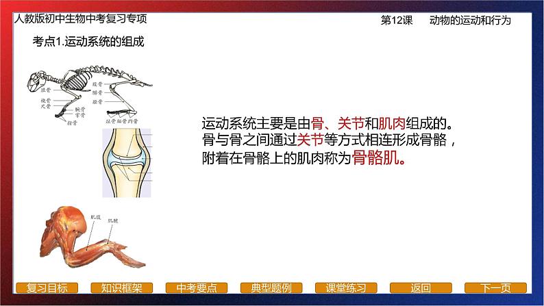 专题12生物圈中的其他生物（动物的行为）课件PPT第4页