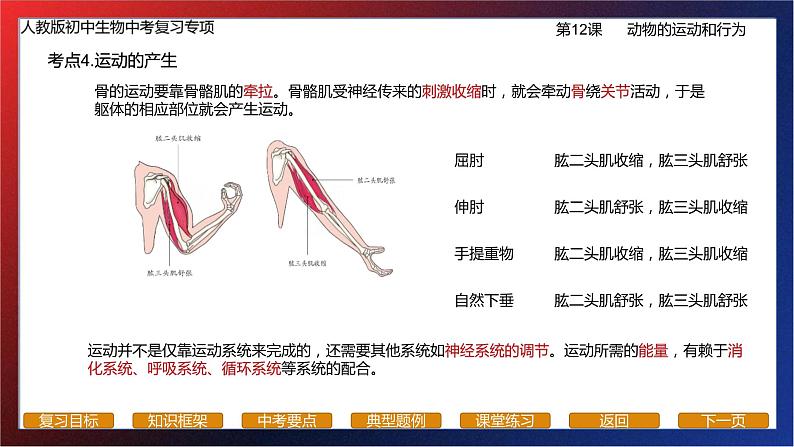 专题12生物圈中的其他生物（动物的行为）课件PPT第7页