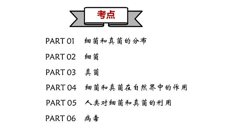 专题17细菌、真菌和病毒-【专题复习】课件PPT第2页