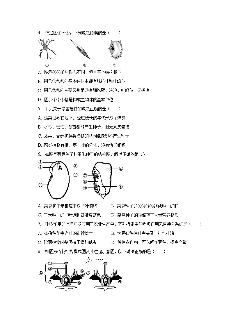 2023年山东省临沂市沂南县中考生物一模试卷（含解析）02