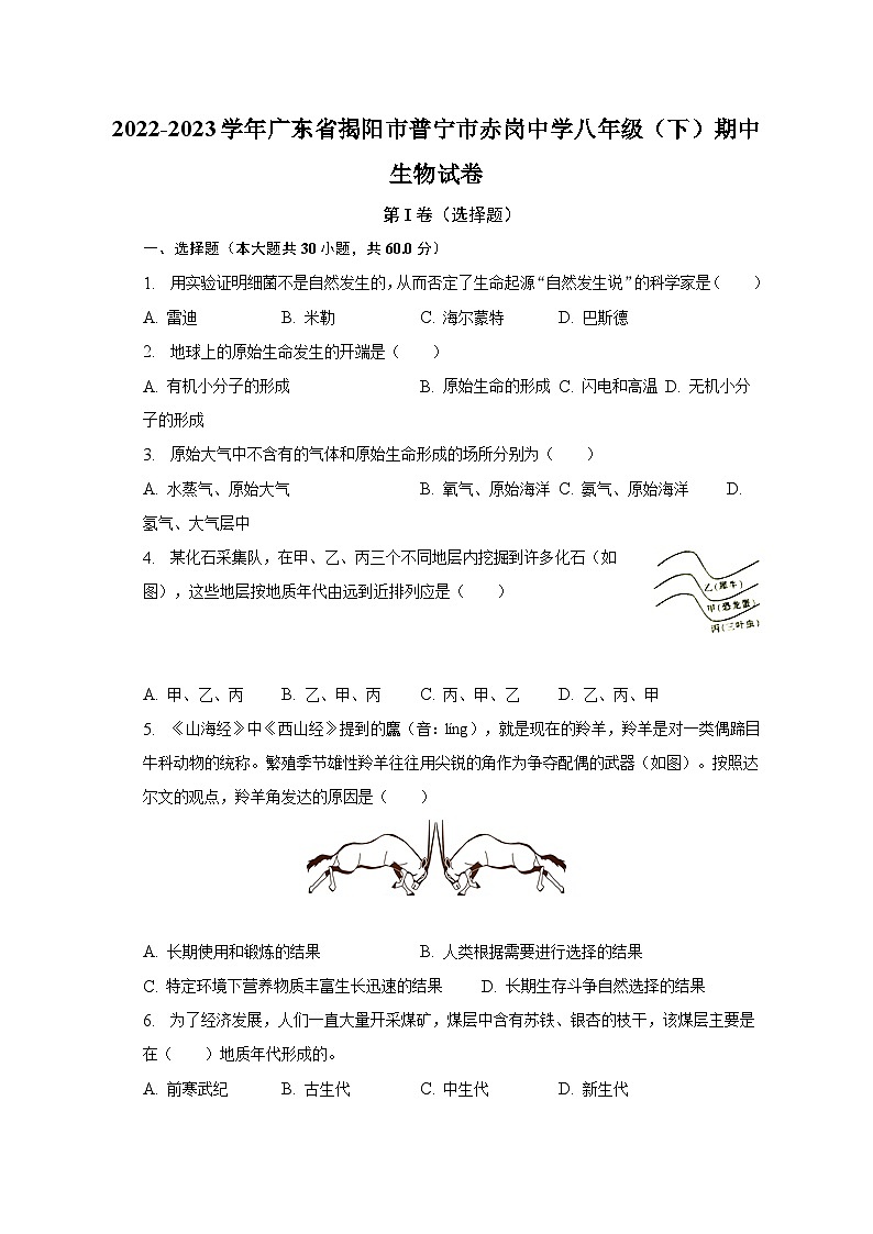 2022-2023学年广东省揭阳市普宁市赤岗中学八年级（下）期中生物试卷（含解析）01