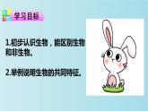 1.1.1生物的特征課件PPT