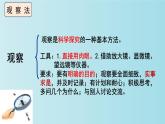 1.1.1生物的特征課件PPT