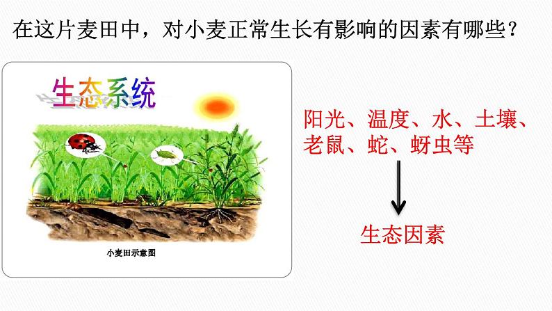 1.2.1 生物与环境的关系课课件PPT07