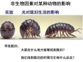 1.2.1生物与环境的关系（探究实验）第二课时课件PPT