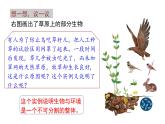 1.2.2  生物与环境组成生态系统课件PPT