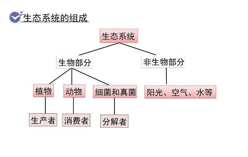 1.2.2  生物与环境组成生态系统课件PPT第8页