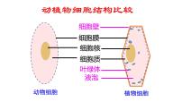 人教版 (新课标)七年级上册第二单元 生物体的结构层次第一章 细胞是生命活动的基本单位第四节  细胞的生活优质ppt课件