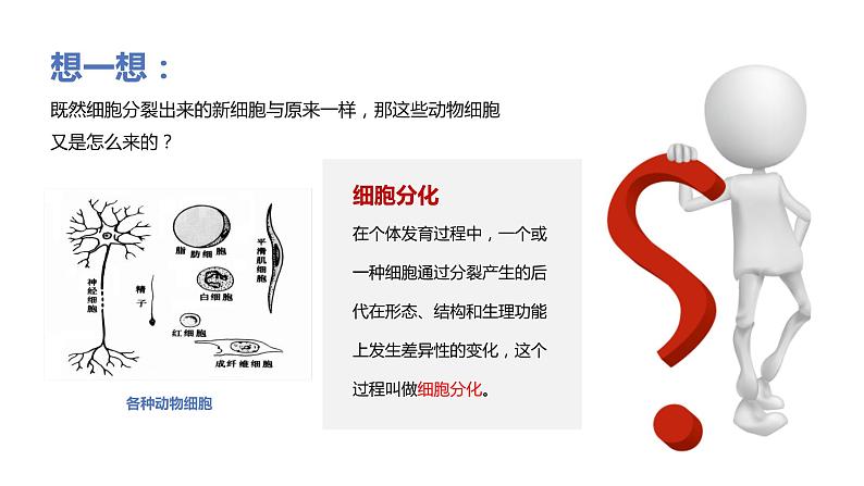 2.2.2动物体的结构层次课件PPT第5页