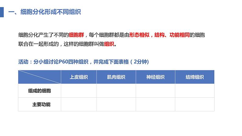 2.2.2动物体的结构层次课件PPT第8页