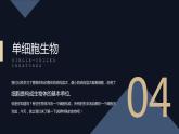 2.2.4单细胞生物课件PPT