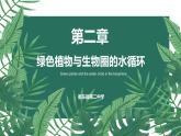 3.3 绿色植物与生物圈的水循环课件PPT