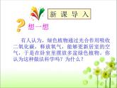 3.5.2 绿色植物的呼吸作用 课件
