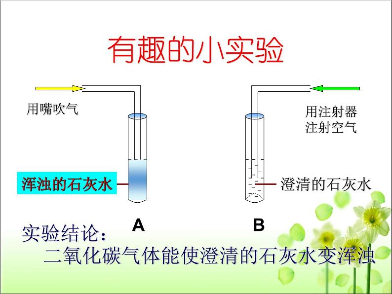 3.5.2 绿色植物的呼吸作用 课件第8页