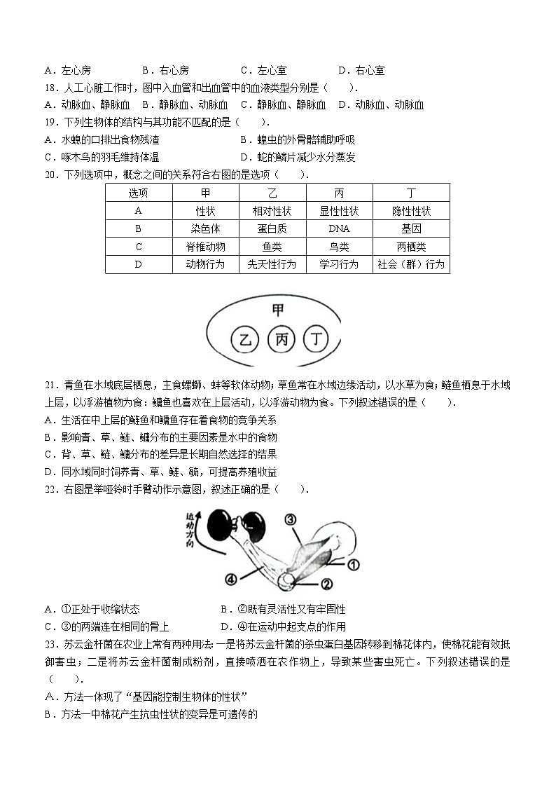 2023年福建省泉州市中考二模生物试题（含答案）第3页