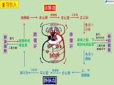 4.4.4输血与血型-课件