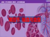 4.4.4输血与血型-课件