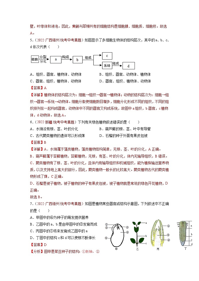真题重组卷05-2023年中考生物真题汇编重组卷（云南专用）（解析版）第3页
