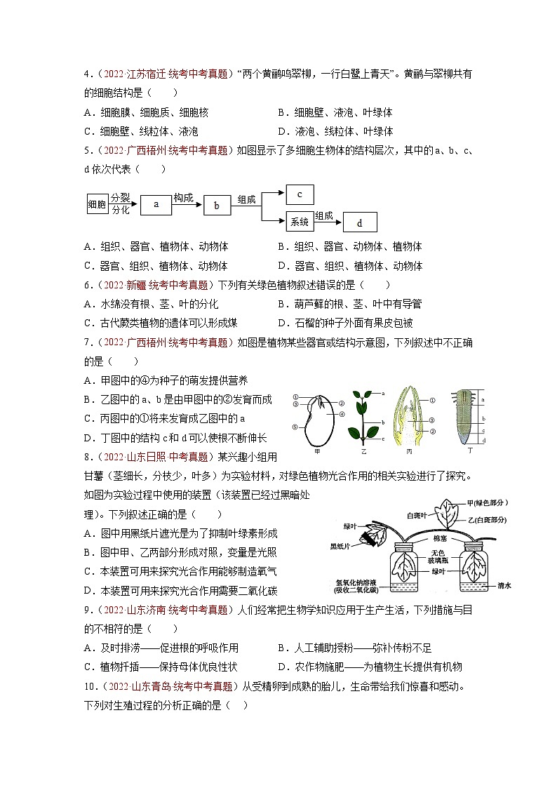 真题重组卷05-2023年中考生物真题汇编重组卷（云南专用）（原卷版） 第2页