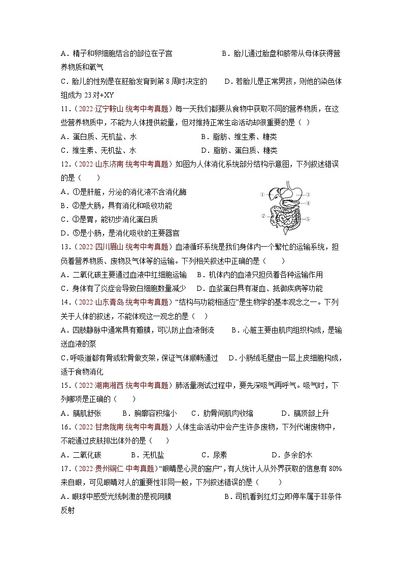 真题重组卷05-2023年中考生物真题汇编重组卷（云南专用）（原卷版） 第3页