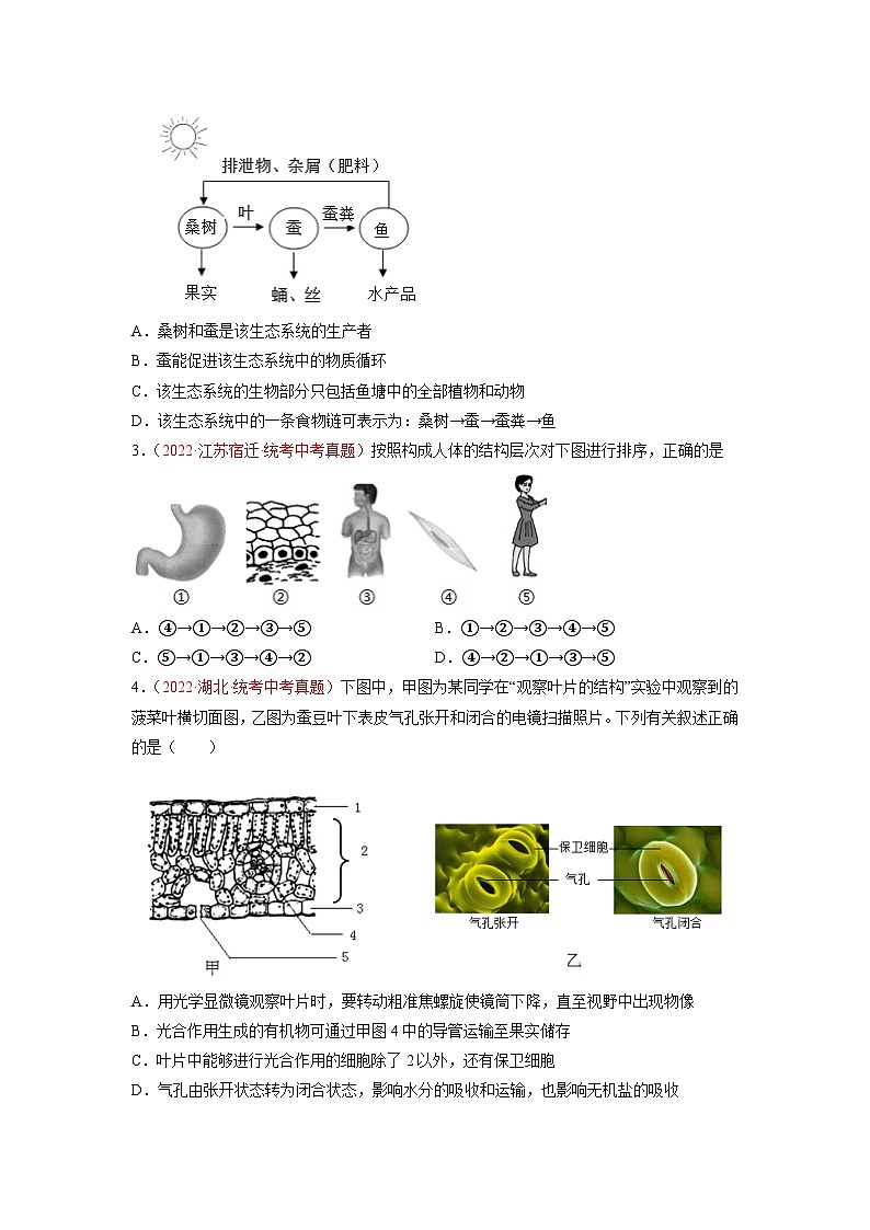 真题重组卷01——2023年中考生物真题汇编重组卷（济南专用）02