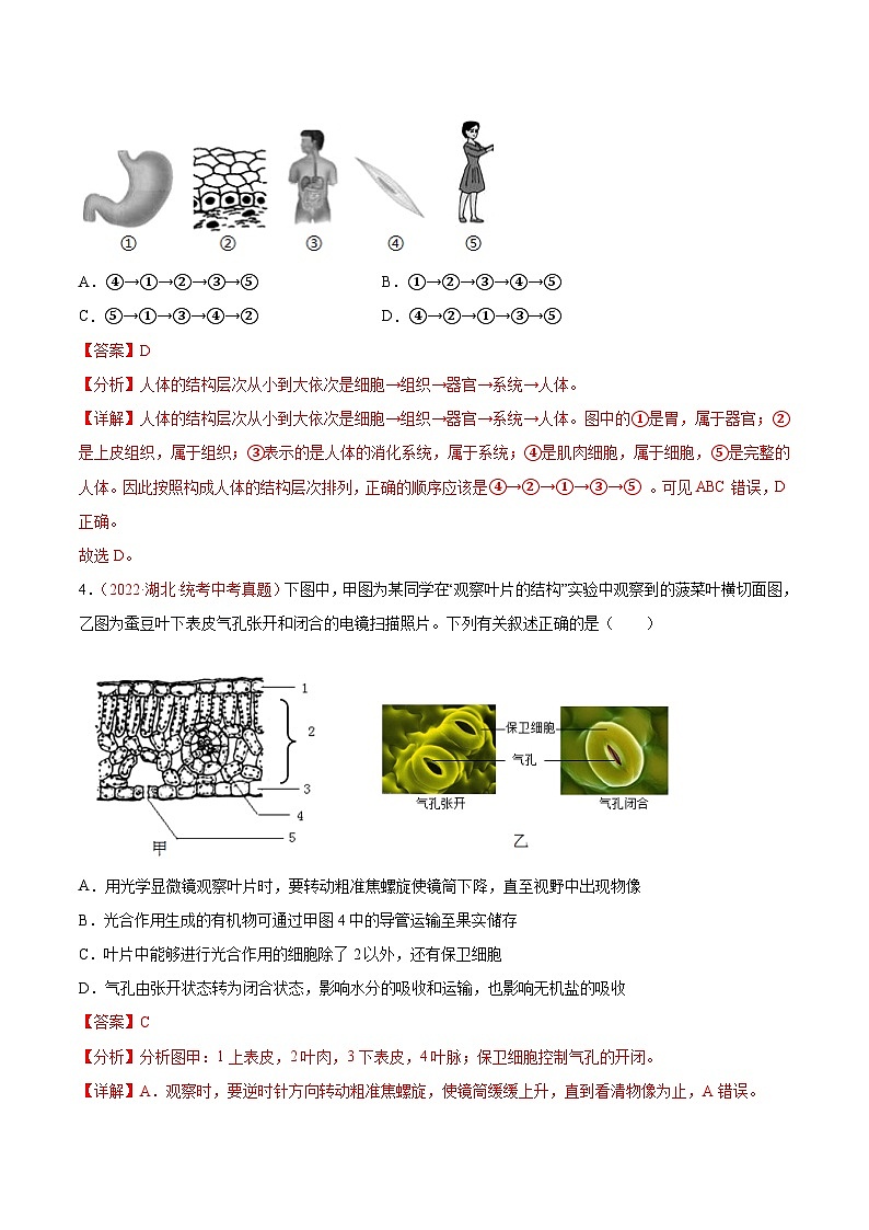 真题重组卷01——2023年中考生物真题汇编重组卷（济南专用）03