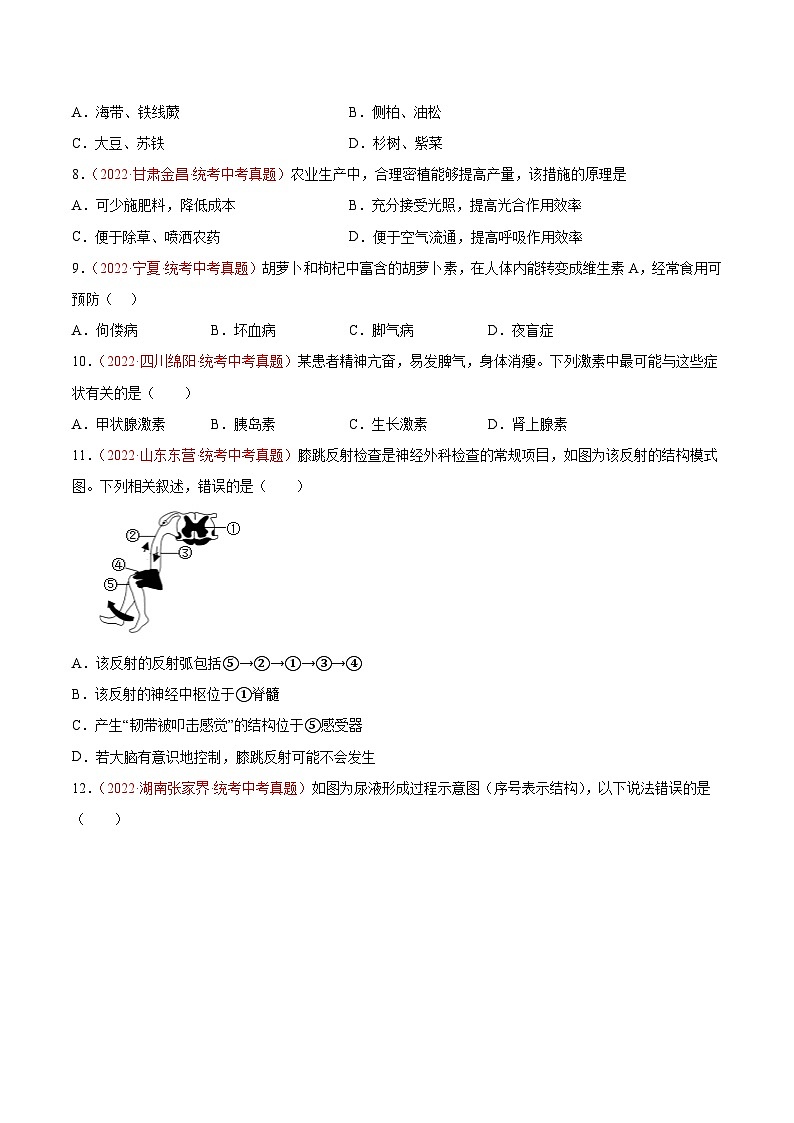 真题重组卷02-2023年中考生物真题汇编重组卷（临沂专用）（原卷版）第3页