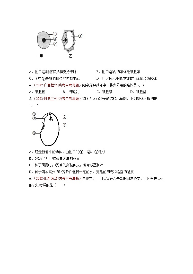 真题重组卷04——2023年中考生物真题汇编重组卷（潍坊专用）02