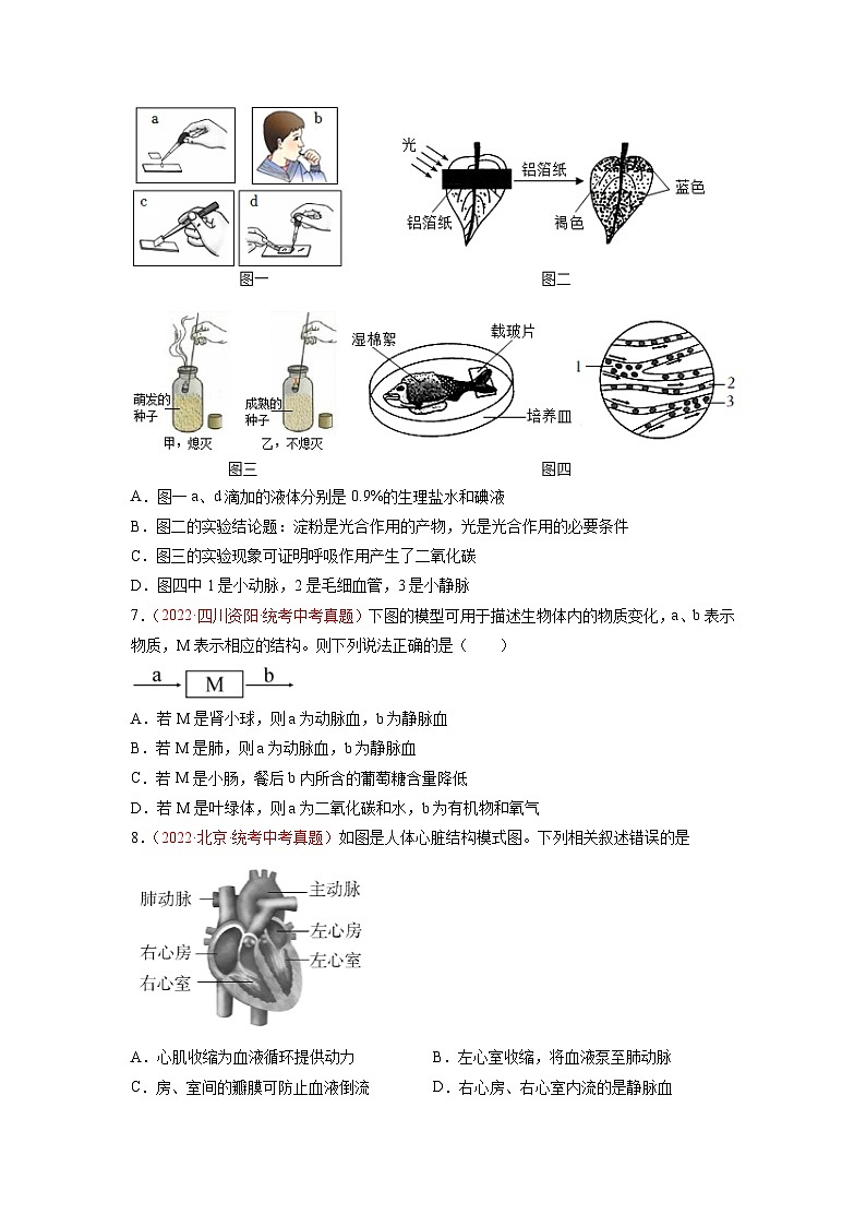 真题重组卷04——2023年中考生物真题汇编重组卷（潍坊专用）03