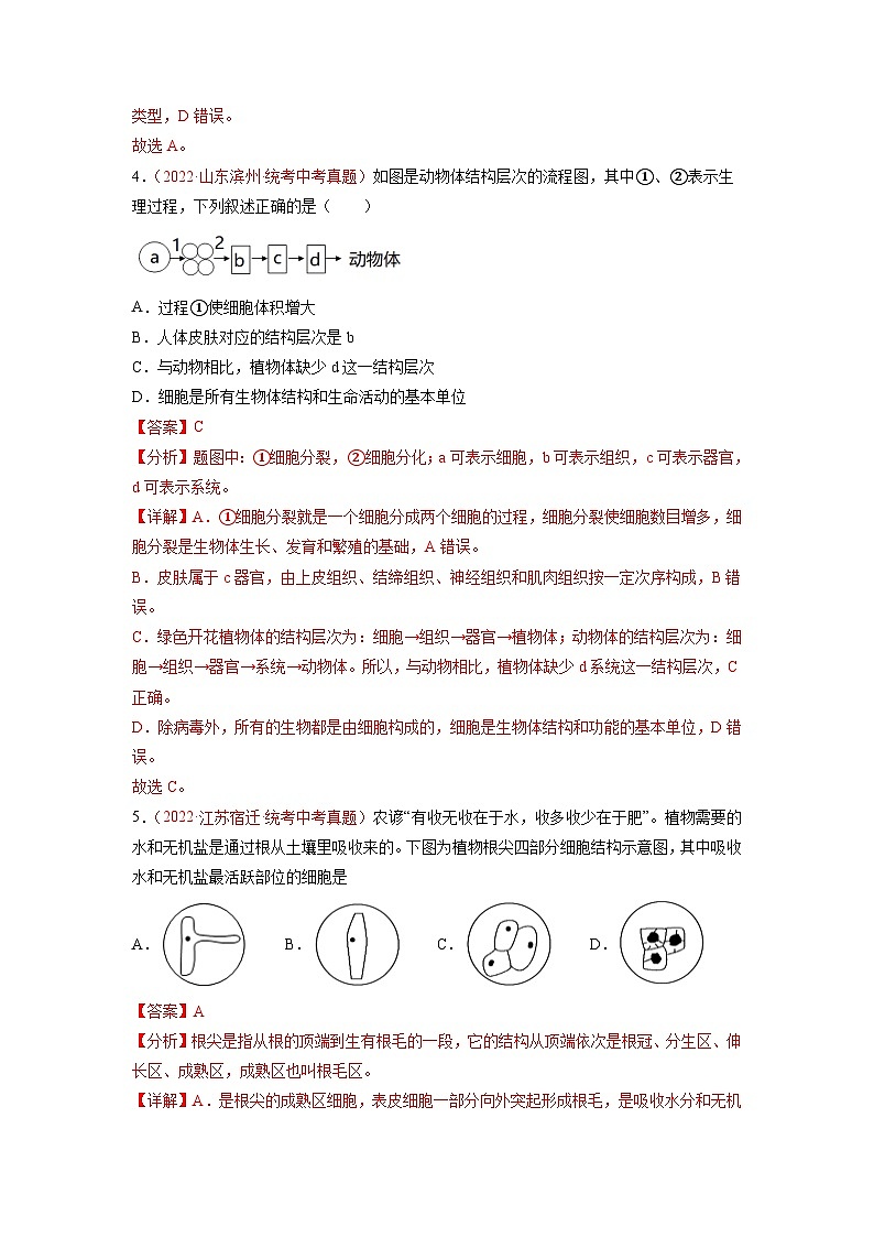 真题重组卷05 2023年中考生物真题汇编重组卷（烟台专用）（解析版）第3页