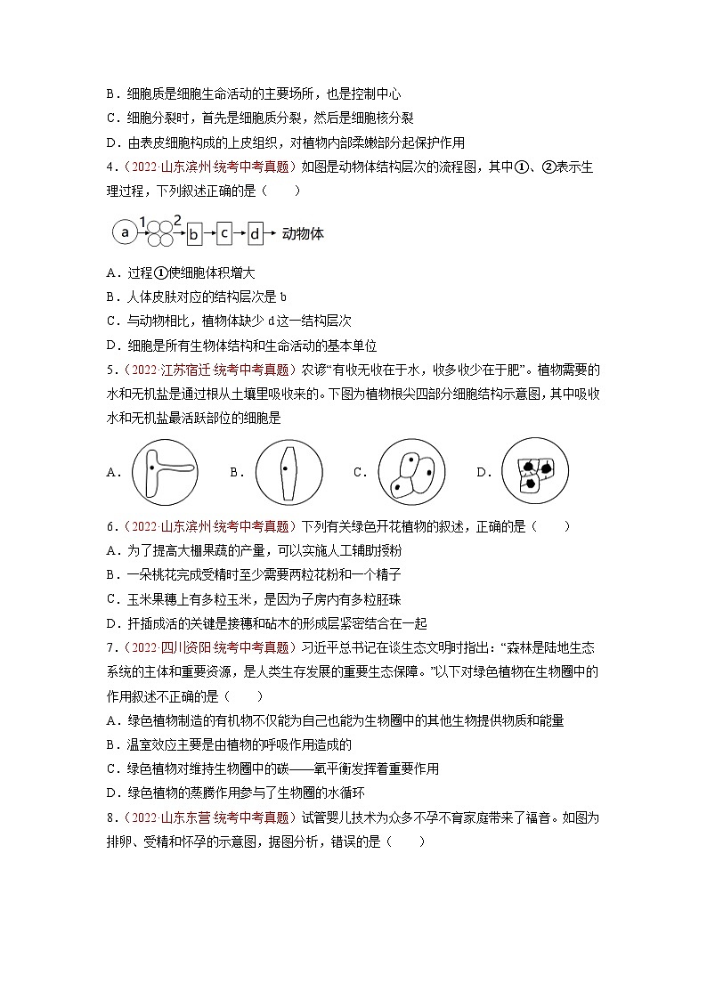真题重组卷05 2023年中考生物真题汇编重组卷（烟台专用）（原卷版）第2页