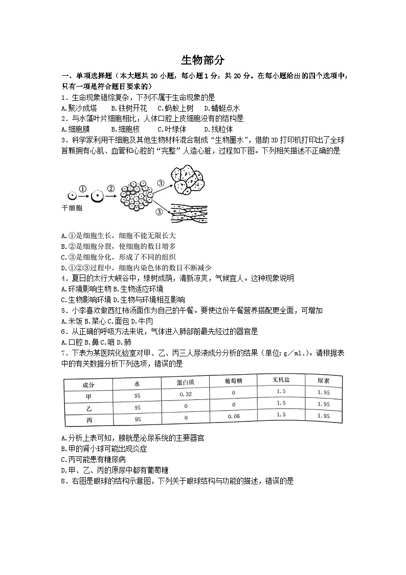 2023年江西省九江市永修县二模生物试题（含答案）01