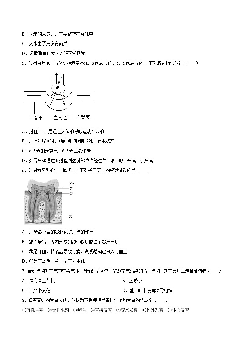 生物（辽宁卷）（考试版）第2页
