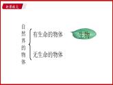 1.1 第一节 我们周围的生物 （课件）苏教版生物七年级上册