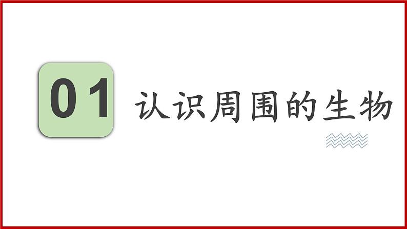 1.1 第一节 我们周围的生物 （课件）苏教版生物七年级上册04