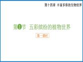 14.1.1 五彩缤纷的植物世界 （课件）苏教版生物八年级上册