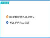 14.1.1 五彩缤纷的植物世界 （课件）苏教版生物八年级上册
