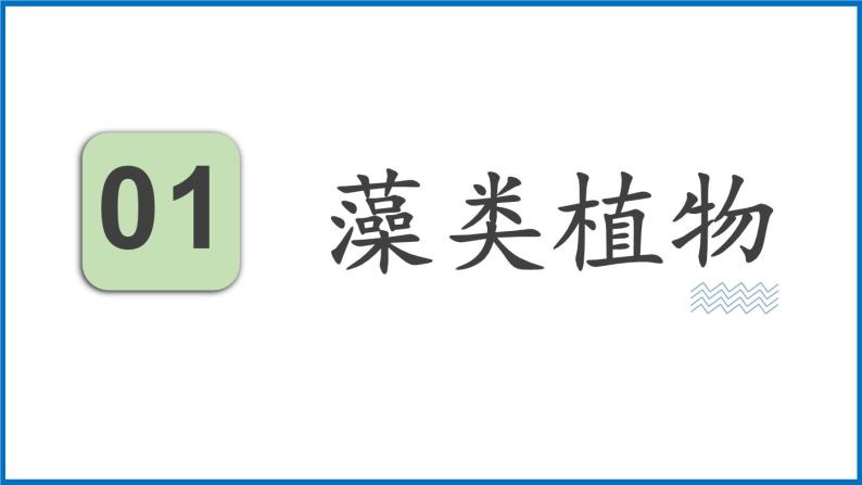 14.1.1 五彩缤纷的植物世界 （课件）苏教版生物八年级上册06