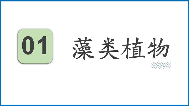 14.1.1 五彩缤纷的植物世界 （课件）苏教版生物八年级上册第6页